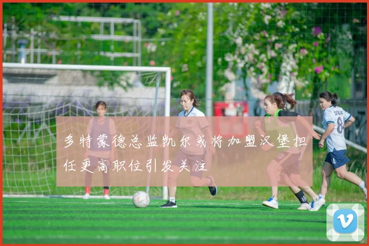 多特蒙德总监凯尔或将加盟汉堡担任更高职位引发关注